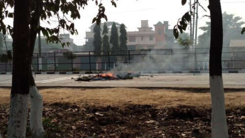Firewoods and logs burnt on roads